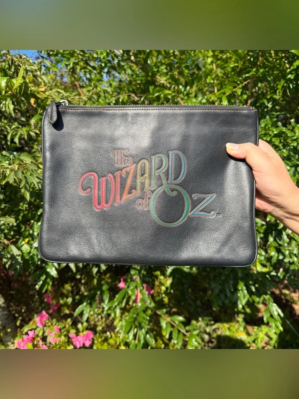 COACH Large Pouch With Wizard Of Oz Patches F39014